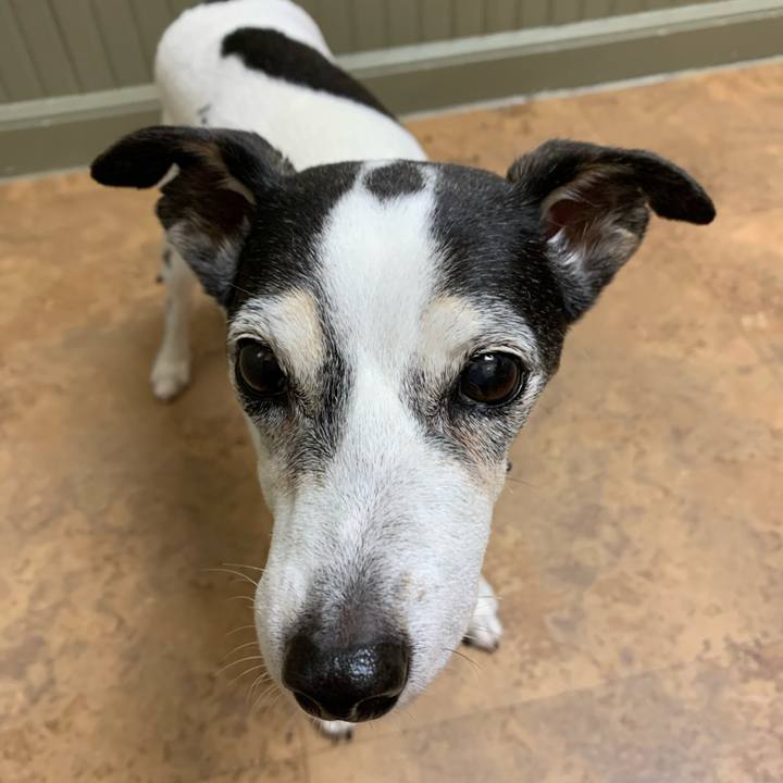 0aeecbb5 2bc3 426e a6ba bb2f76adc4c6 1630187356042