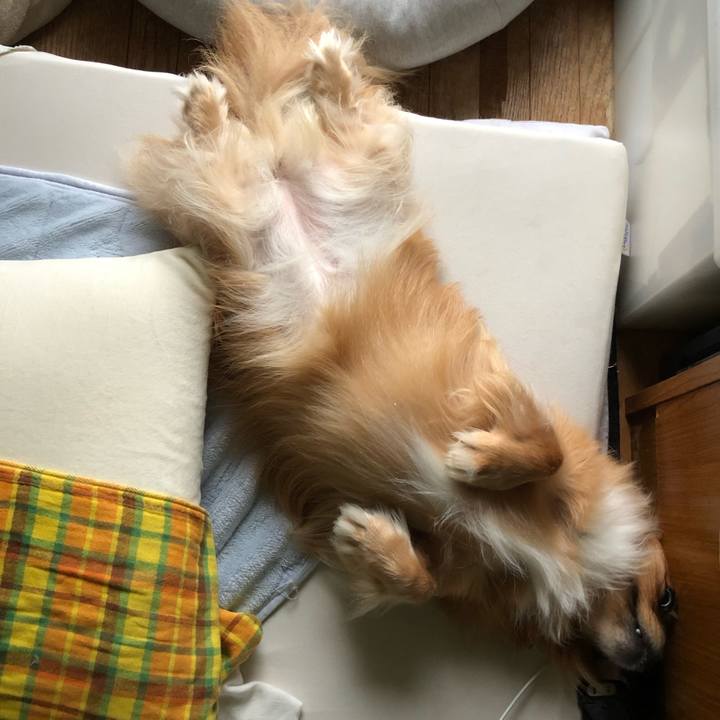 0aeecf69 e1d0 41c1 8b83 1c4733202894 1567117590798