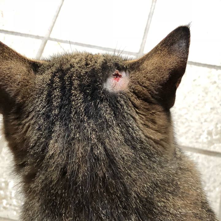 0aeee023 5832 4f3f b159 f6f3eb9e4399 1528681712823