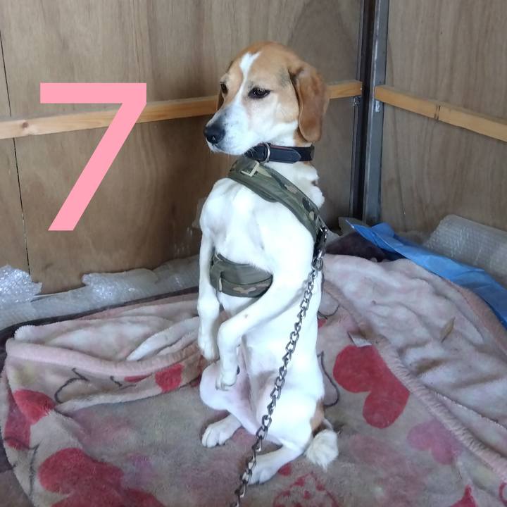 0aef1bc1 d029 4715 90ce 8445ae026577 1686887020106