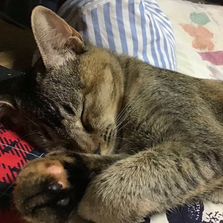 0aef21ff 7ba6 4f03 a622 03b5eebf16bb 1575255715026