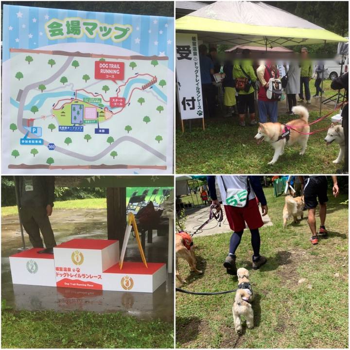 0aef3365 a02b 45c2 a48f d23f94b60db8 1560729278542