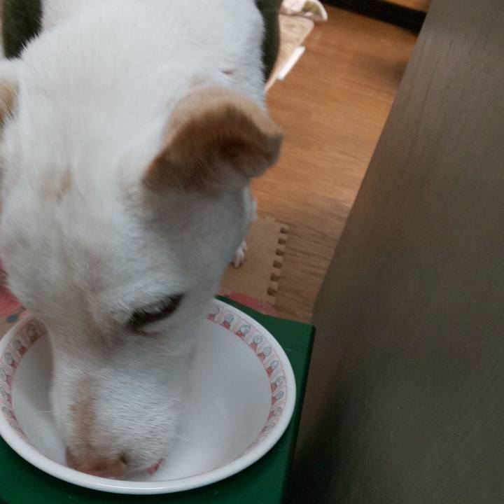 0aef38cc 3c66 44fd a0b8 73d769aaa0d7 1542758238890