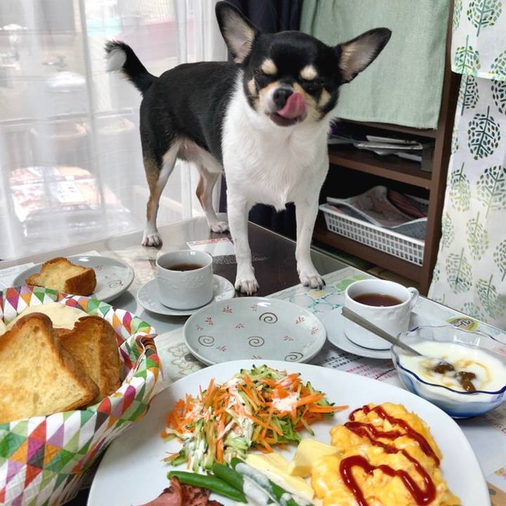 0aef5816 1671 4ec1 b1af 27a085473116 1538965013207