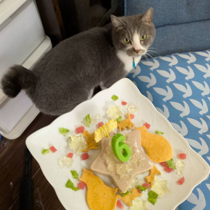 0aef667f 0503 422c ab1a 453606ba4295 1744363953713