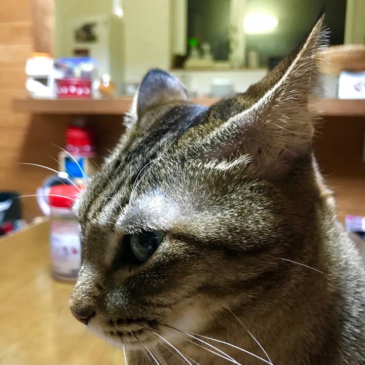 0aef8557 b271 41b8 be22 f5158cf9f118 1545482699542