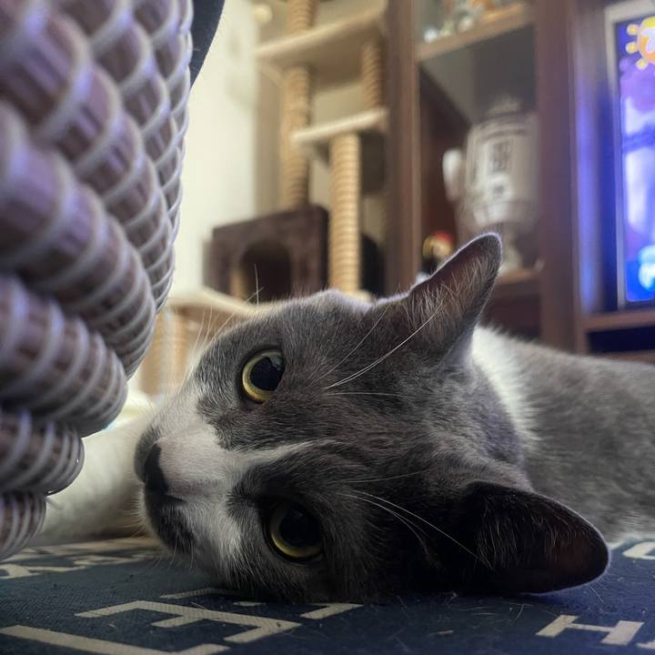 0aefd908 46be 458d ae15 5fb4905c7ec3 1720219554213