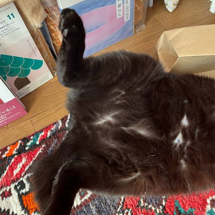 0af0312d 0eec 478a b6f5 c74060b6c38a 1704074123405