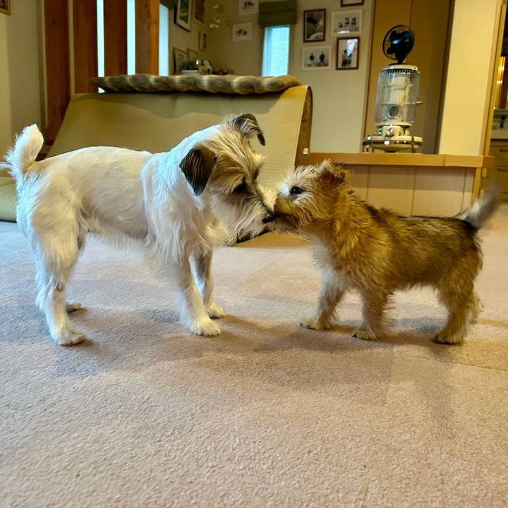 0af04644 6083 48f2 a99b b12f2b684db5 1702978491883