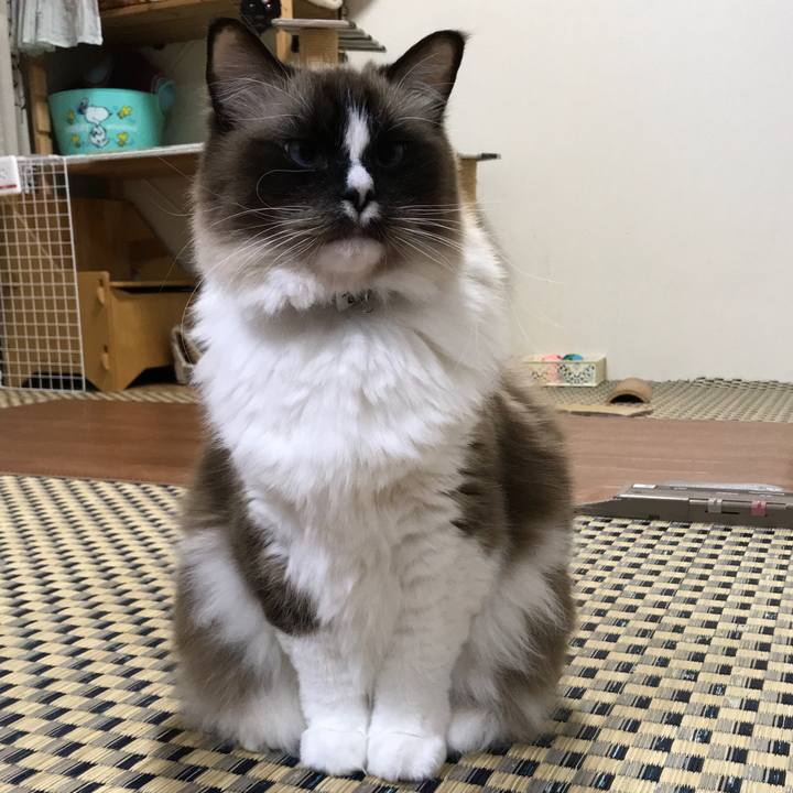 0af0662d 899a 46aa 950e b4eae04d3b7e 1514294392946