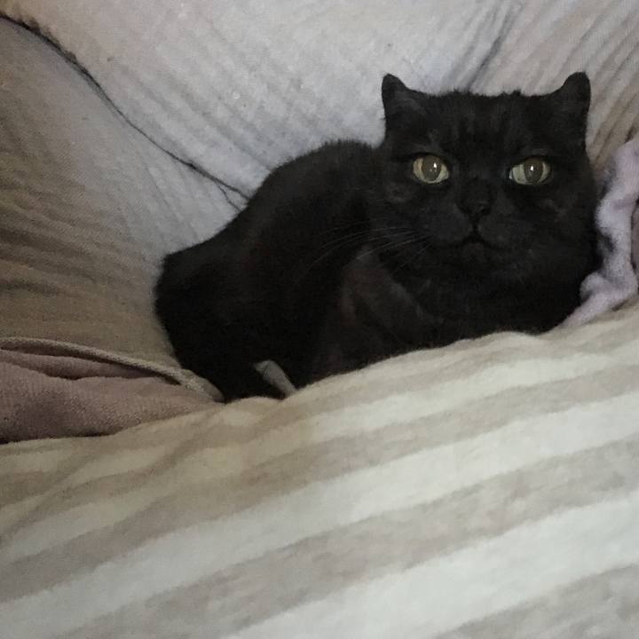 0af06a84 ea23 4a10 b37c c9423a4e23fd 1548300772327