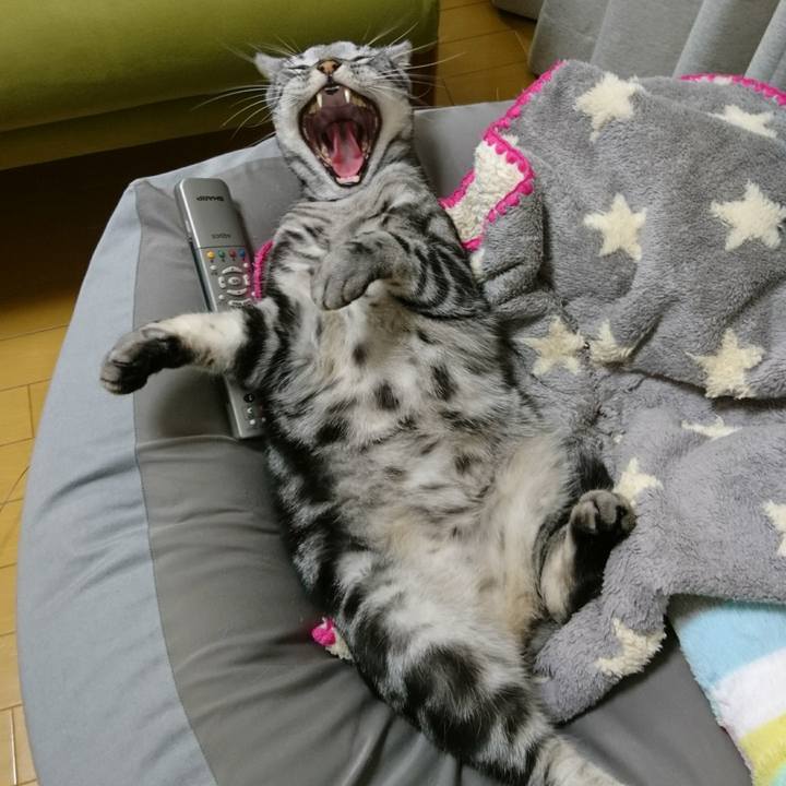 0af06b42 73f5 44e8 9878 8bf04396c6aa 1510478697882