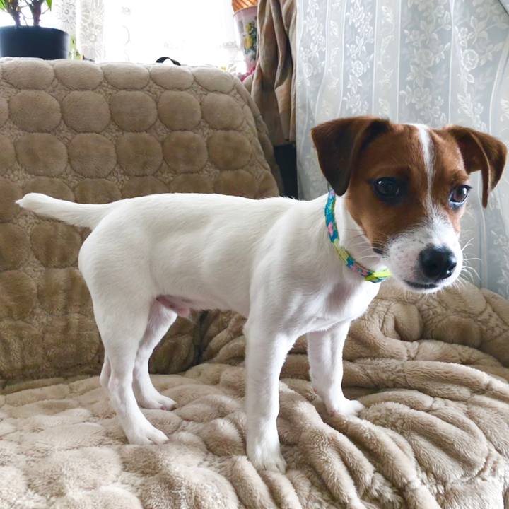 0af08f4a a9a1 463d 81d8 9ad6ac9f8ea1 1517741647815