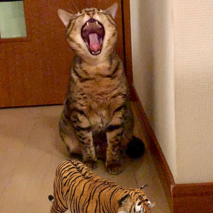 0af0a8b5 8ab7 4b1c 9f28 7c68b2692a78 1570677533821