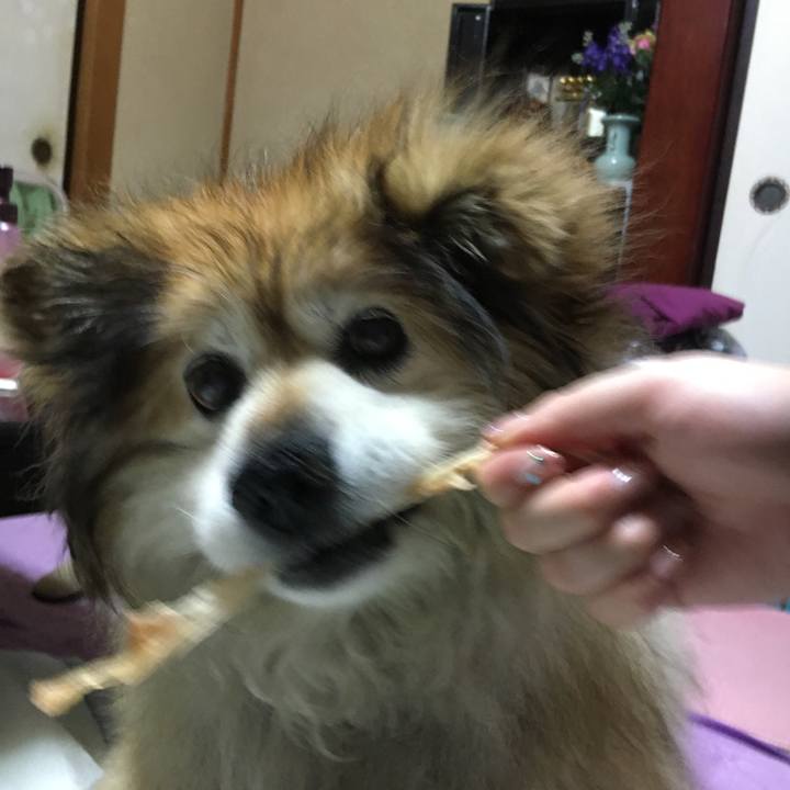 0af0adec 78c6 4dce 81fd ecbd5297c7c2 1556879127534