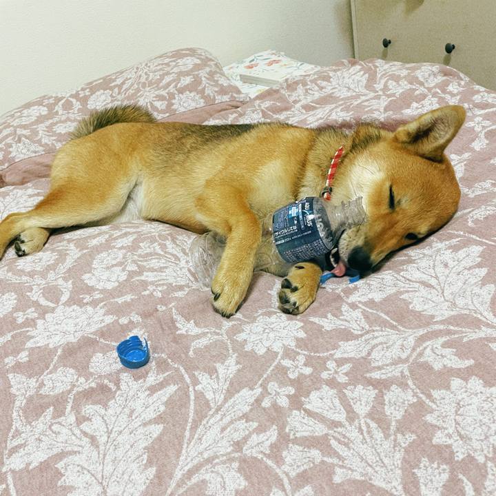 0af0e63a 82de 4e5f 8d46 fabc7c05d394 1663770635024