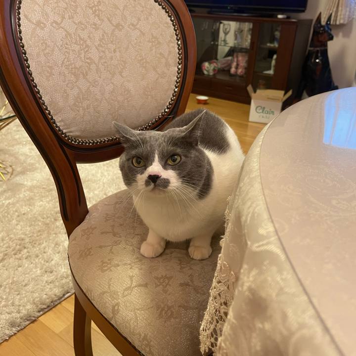 0af0f5bb b24b 454a 9f3a 342229d1230e 1735977288039