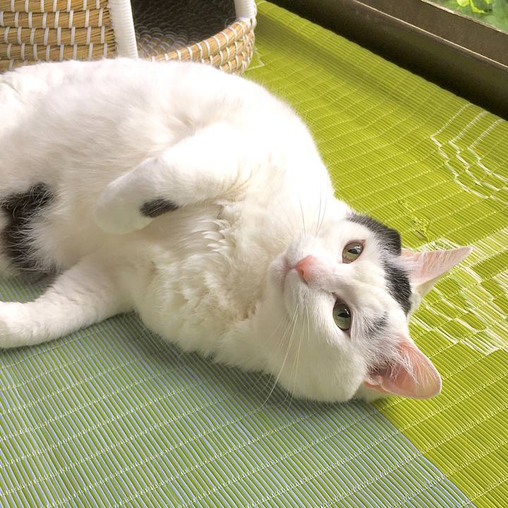 0af11b30 af3d 4681 9e26 515c7bd8f5c1 1593066208689