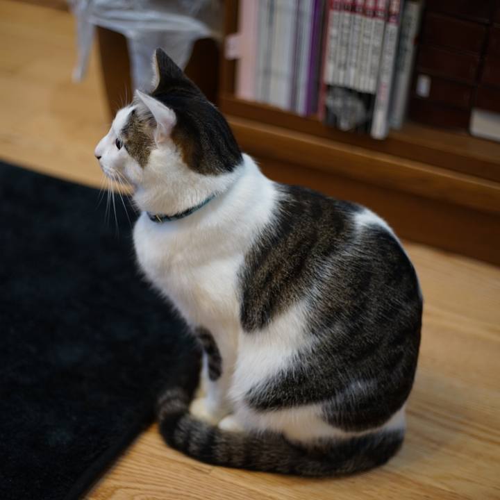 0af15747 1bfc 4516 a0f6 f8226d7a6fef 1515661344941