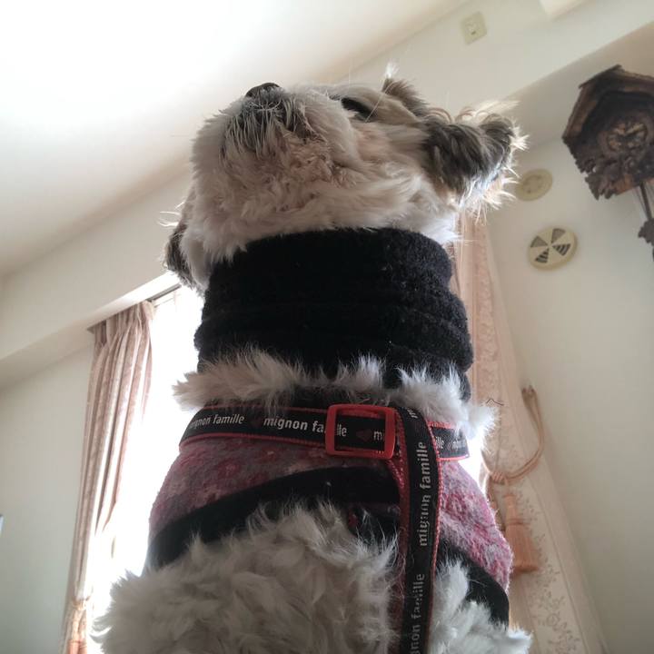 0af174dc 5f2a 4af6 8cb3 8b9432b8d115 1580680379381