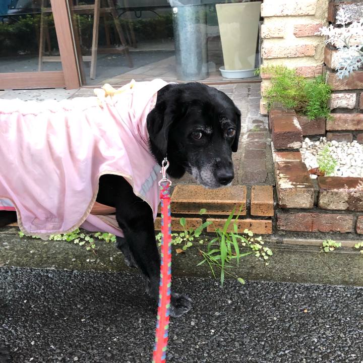 0af17e3c 185e 4734 9362 ed0de63a526d 1595651792541