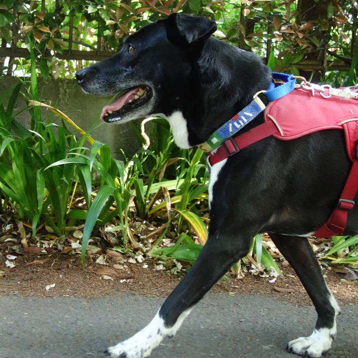 0af19dae e154 4bef 98bb 5cad67012e89 1682730161890