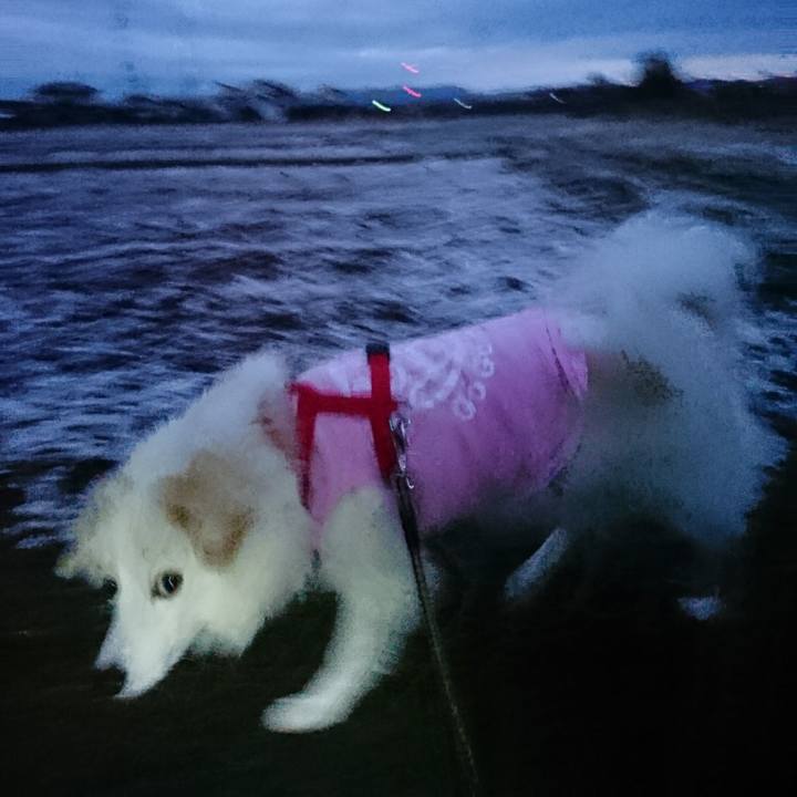 0af1ee00 963d 4999 865b a6870c7ec2c9 1512508417585