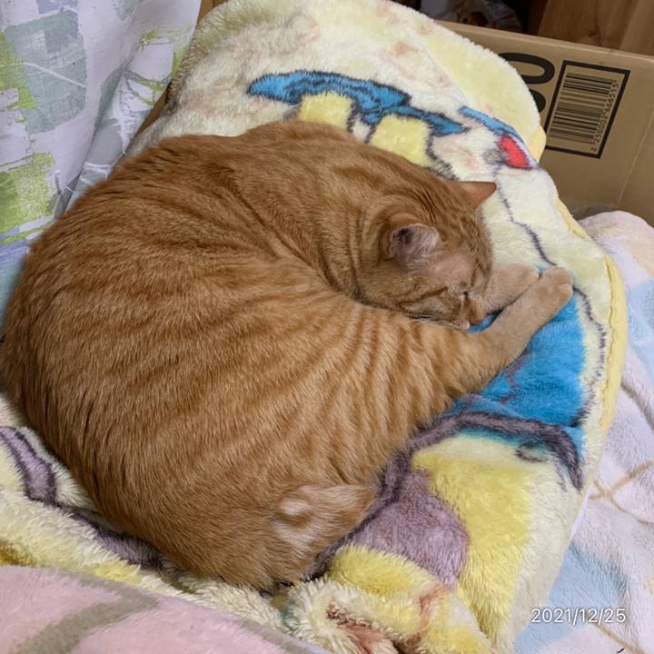 0af1f159 61f2 4e24 8af4 9cac345cc652 1640423345365