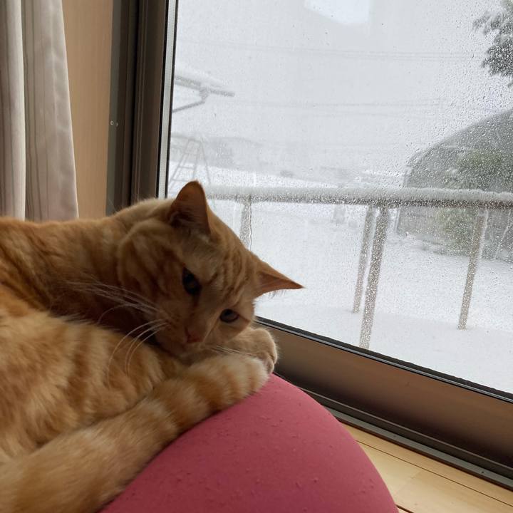 0af206d2 ca61 4af5 8dd5 d8e9ace93f3b 1764802845736