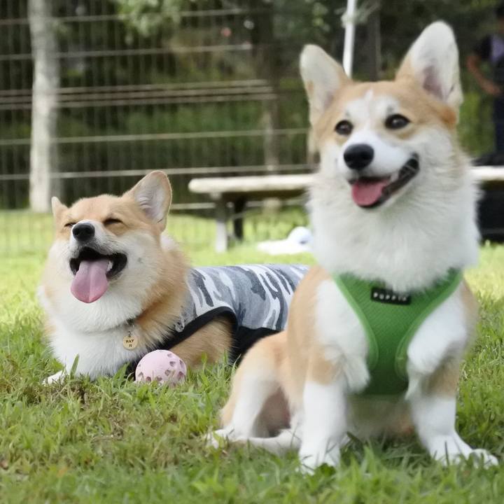 0af2367b 33a0 4f59 8815 4f2b8f9c01a5 1537109430391