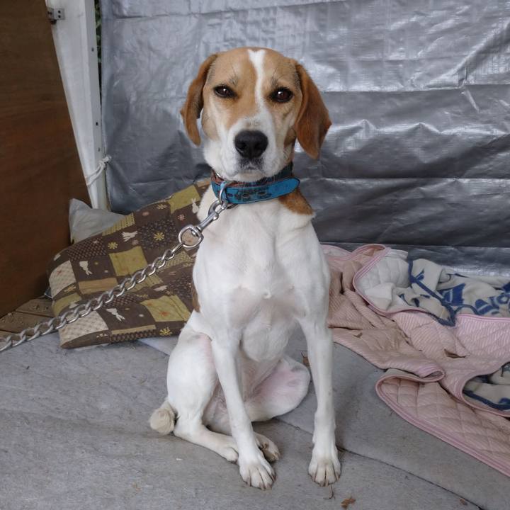 0af2387d f652 451d 88e9 fab09896d4f6 1607302637431