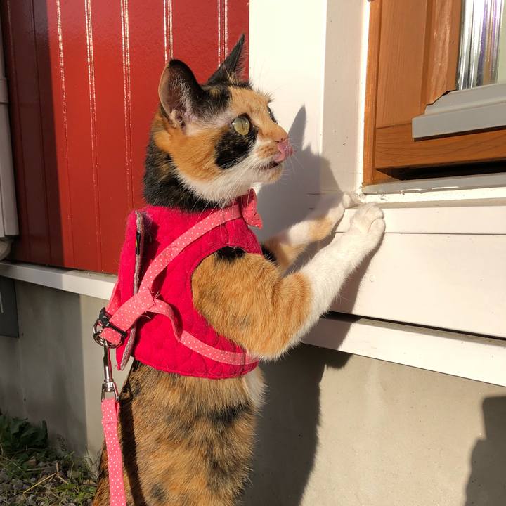 0af25dd5 7b69 40eb 807d e91ce4755be9 1542172878373