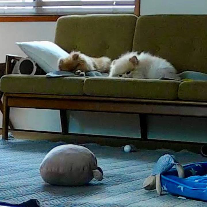 0af27123 d44b 4daa 9f70 49e919b7e26c 1701401663629