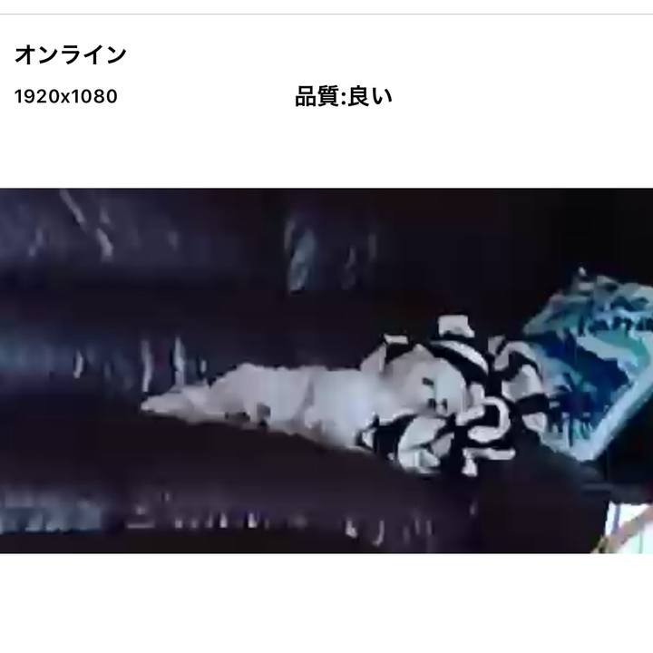 0af28d48 d8cb 4006 ae0e cdd1b447d53e 1565225568410