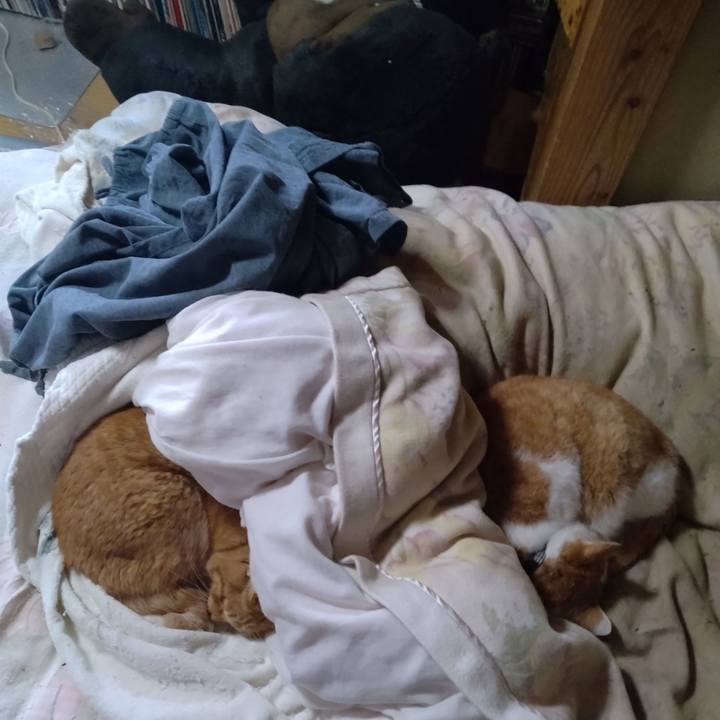 0af29892 45be 41aa a894 5a0a1603a4c8 1765321373444