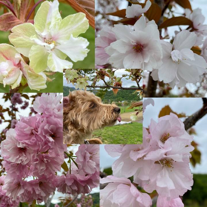 0af2f19f bb75 48bc bf8c 420465e469d9 1621655149999