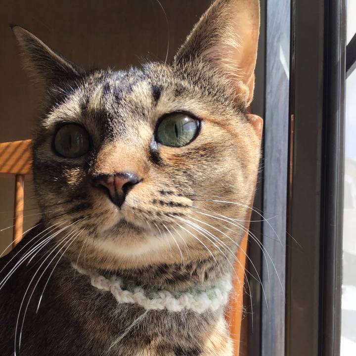 0af2f7ef 906e 48f3 a263 a5c105c2792c 1648446396687