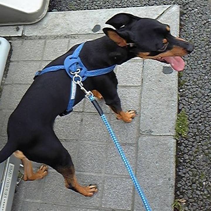 0af2fc8d cecb 4dc5 963e 3da6a0bf0e46 1773204823131