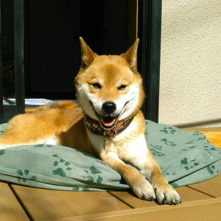 0af3314b 592a 460d a64c 1c22e107dd67 1518695763248