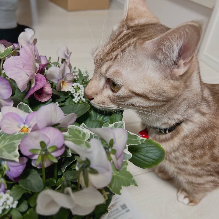 0af35205 c586 4255 b357 8b4bd20e870b 1676014604964