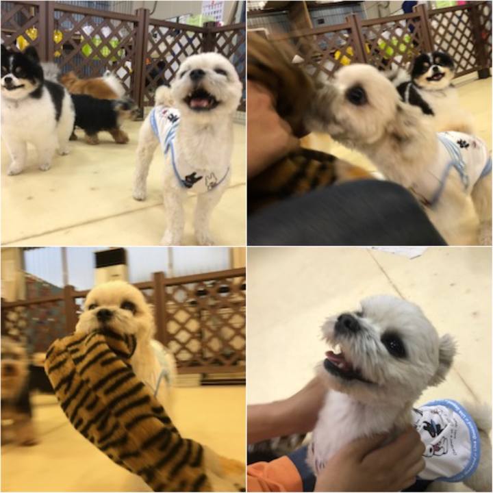 0af37678 9cb6 4d3b 909d b2f3d41a1e79 1526988727342