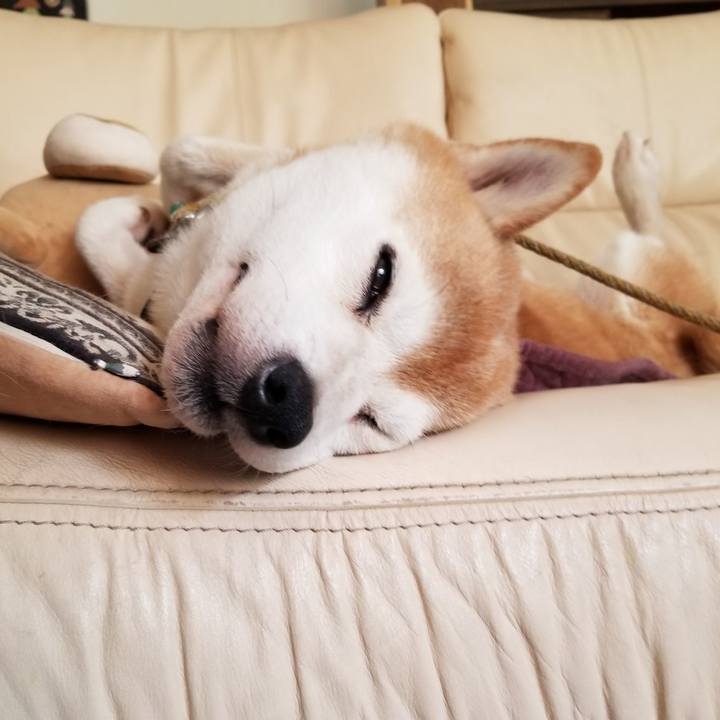 0af3abdd 4188 4cd9 b901 53b4ffa776d6 1630026175064