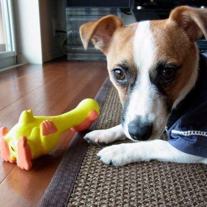 0af3ae91 8293 4f63 9697 03531e8d74ca 1695252192889