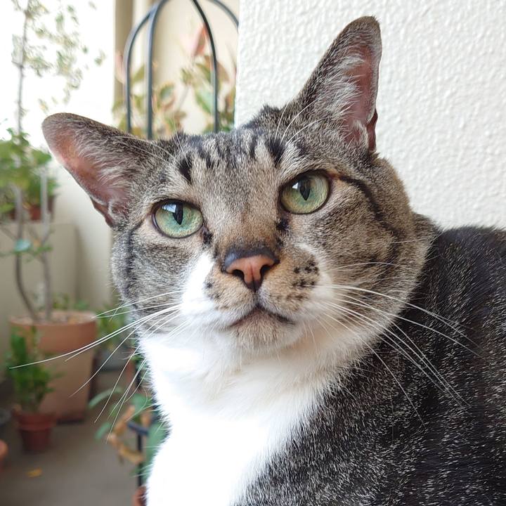 0af3b6e1 7543 4467 8451 abb58d694c0c 1624234856386