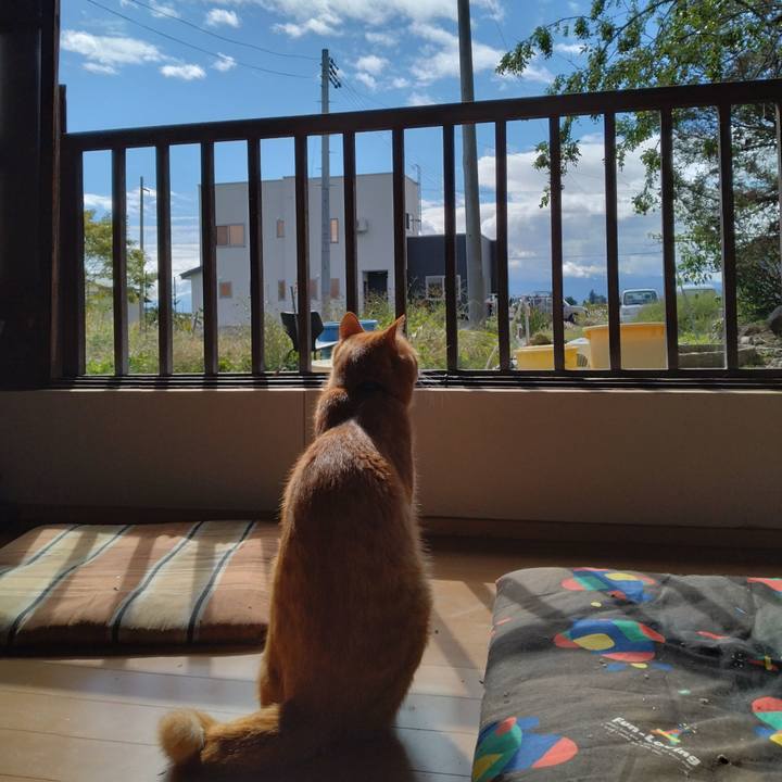 0af3c932 734d 404b 8e59 0dcecdd9d8e7 1665191213306