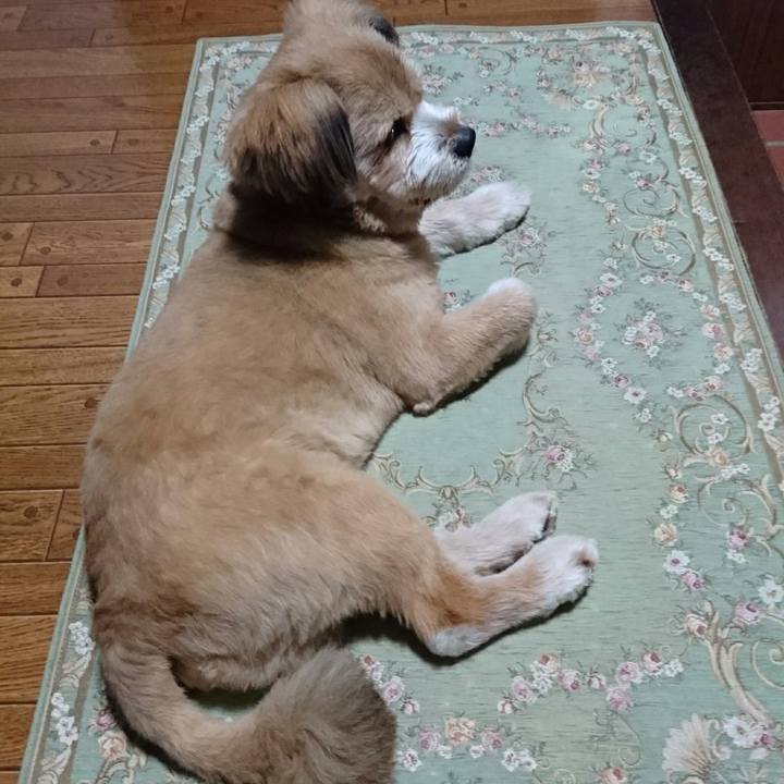 0af3cdcc 463d 4af9 9b23 ae2a5d9a05e2 1525603099490