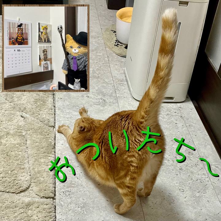 0af43874 28a8 433a 888d 3cfc3e55849f 1696118292904