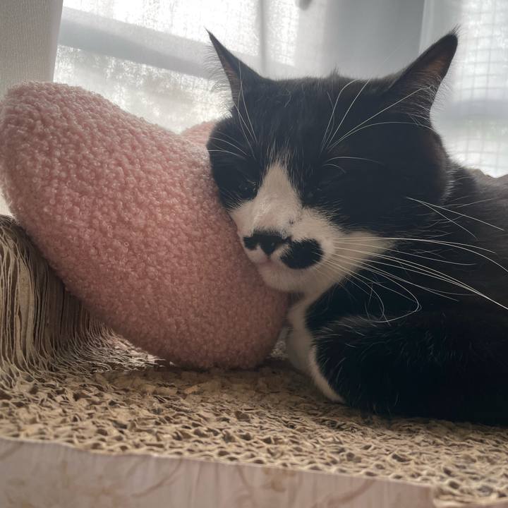 0af43c26 ac56 409a 82b9 2a56fc0c7e49 1682290486551