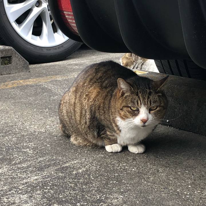 0af479a6 79b9 4fcf 9f13 c5a08b38f513 1649602129929