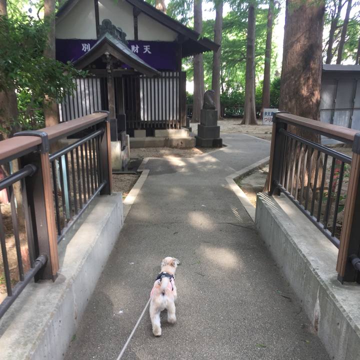 0af48ec2 d3dc 4a08 8fca 595874ad5560 1565949779691